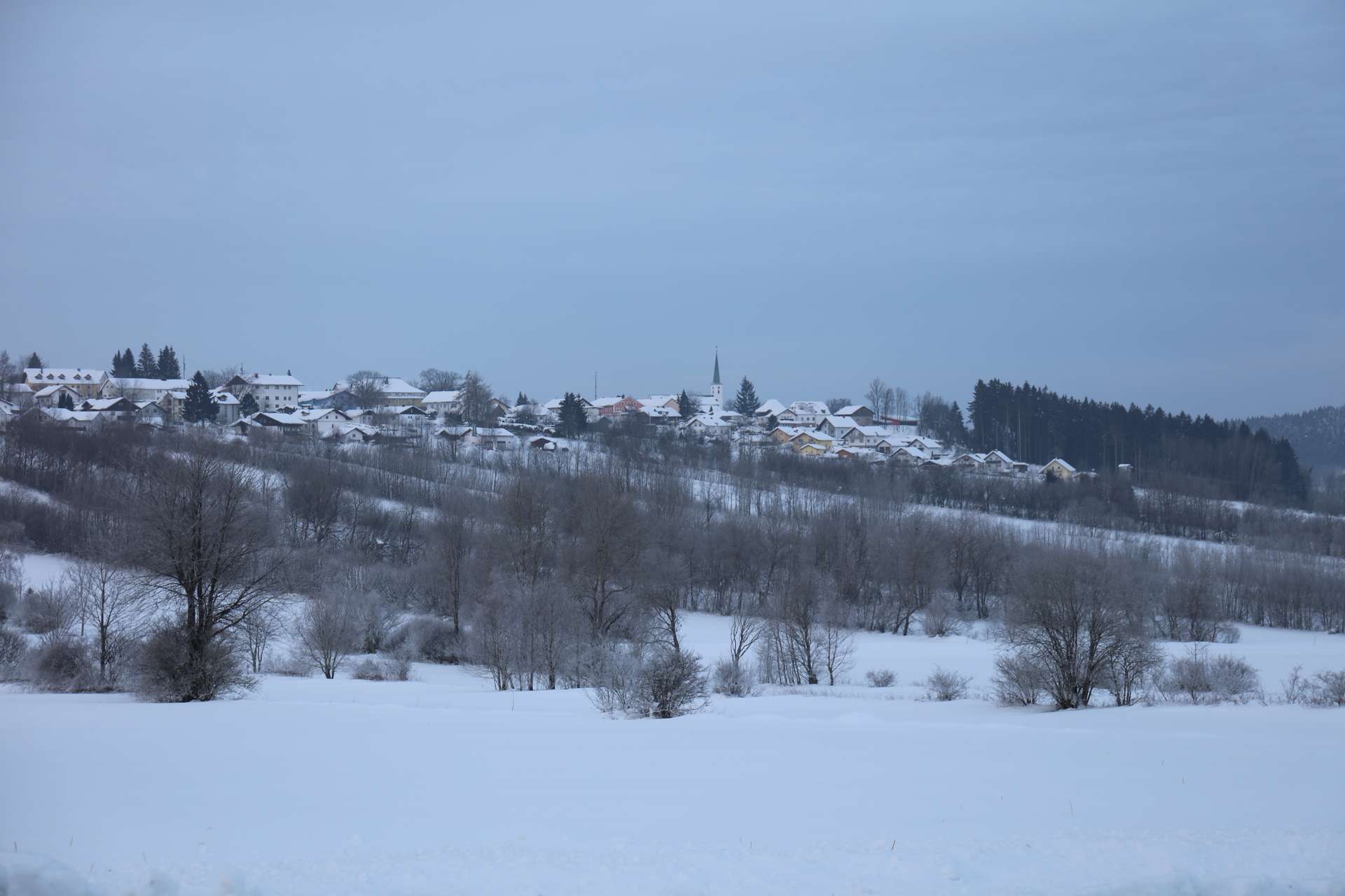 Ausblick