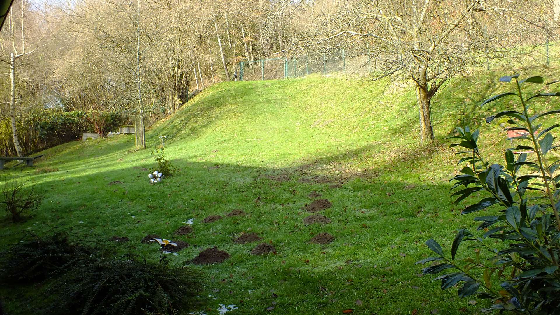 Garten Westseite