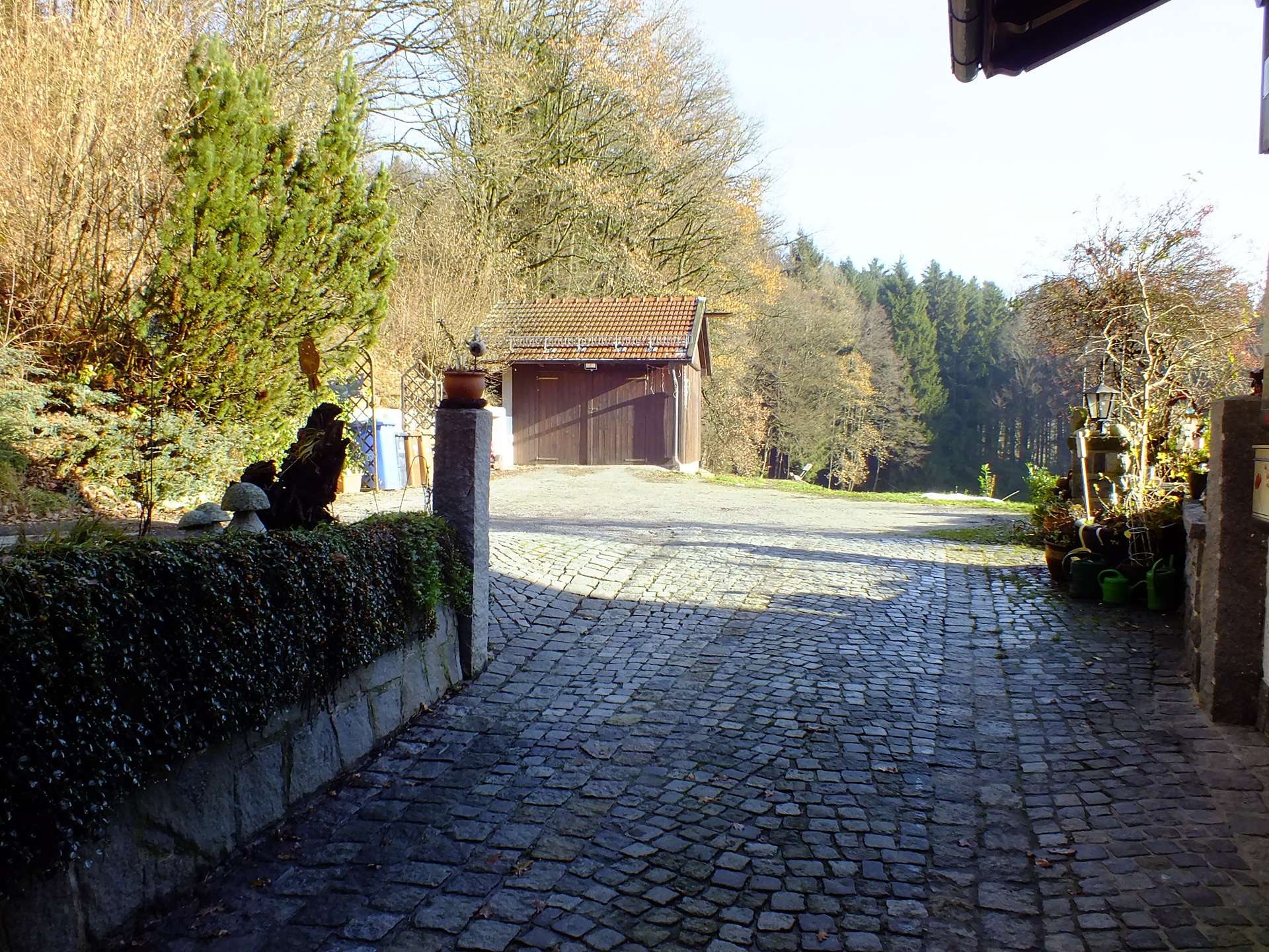 Zugang EG (2)