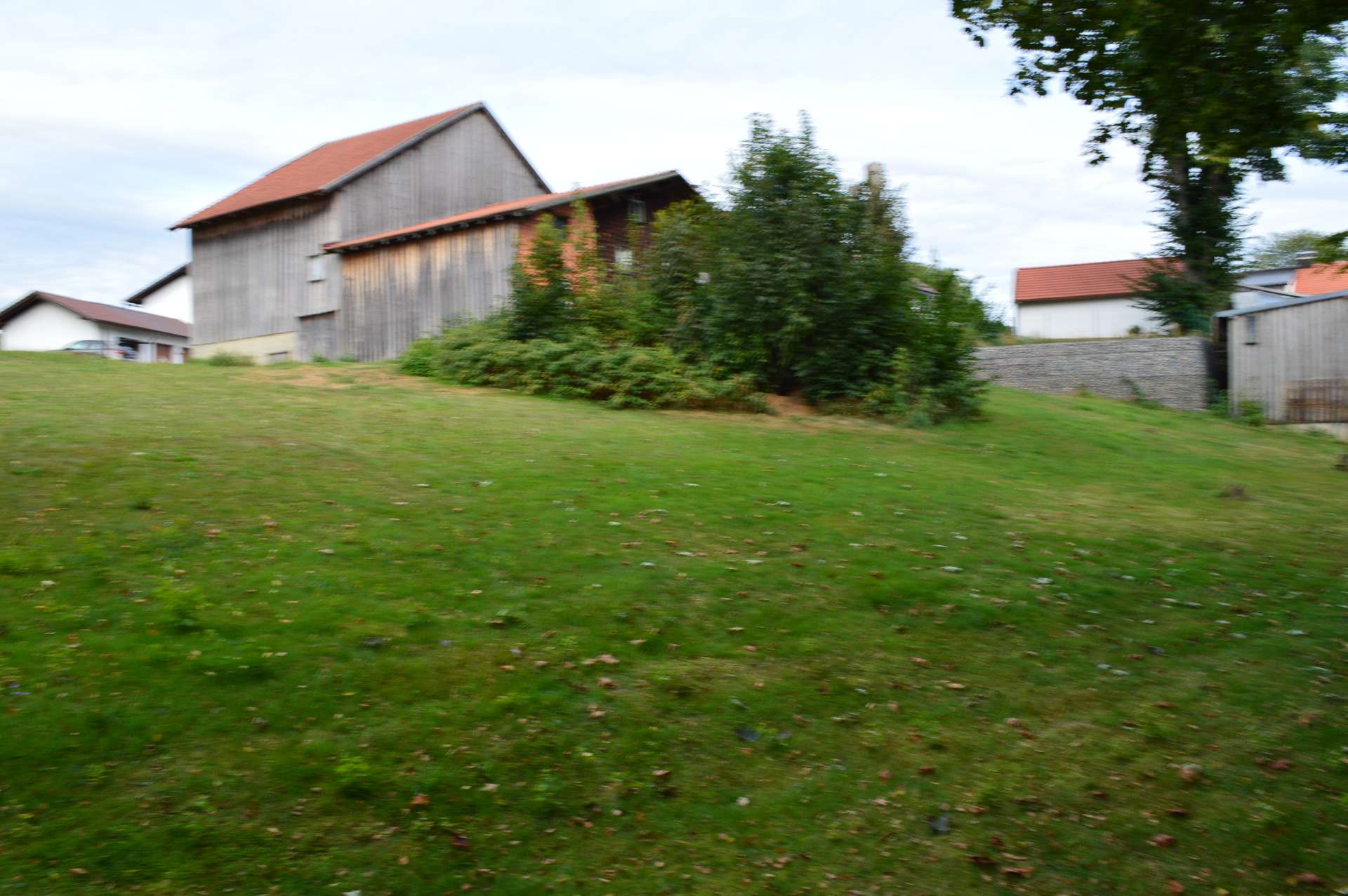 DSC_0218