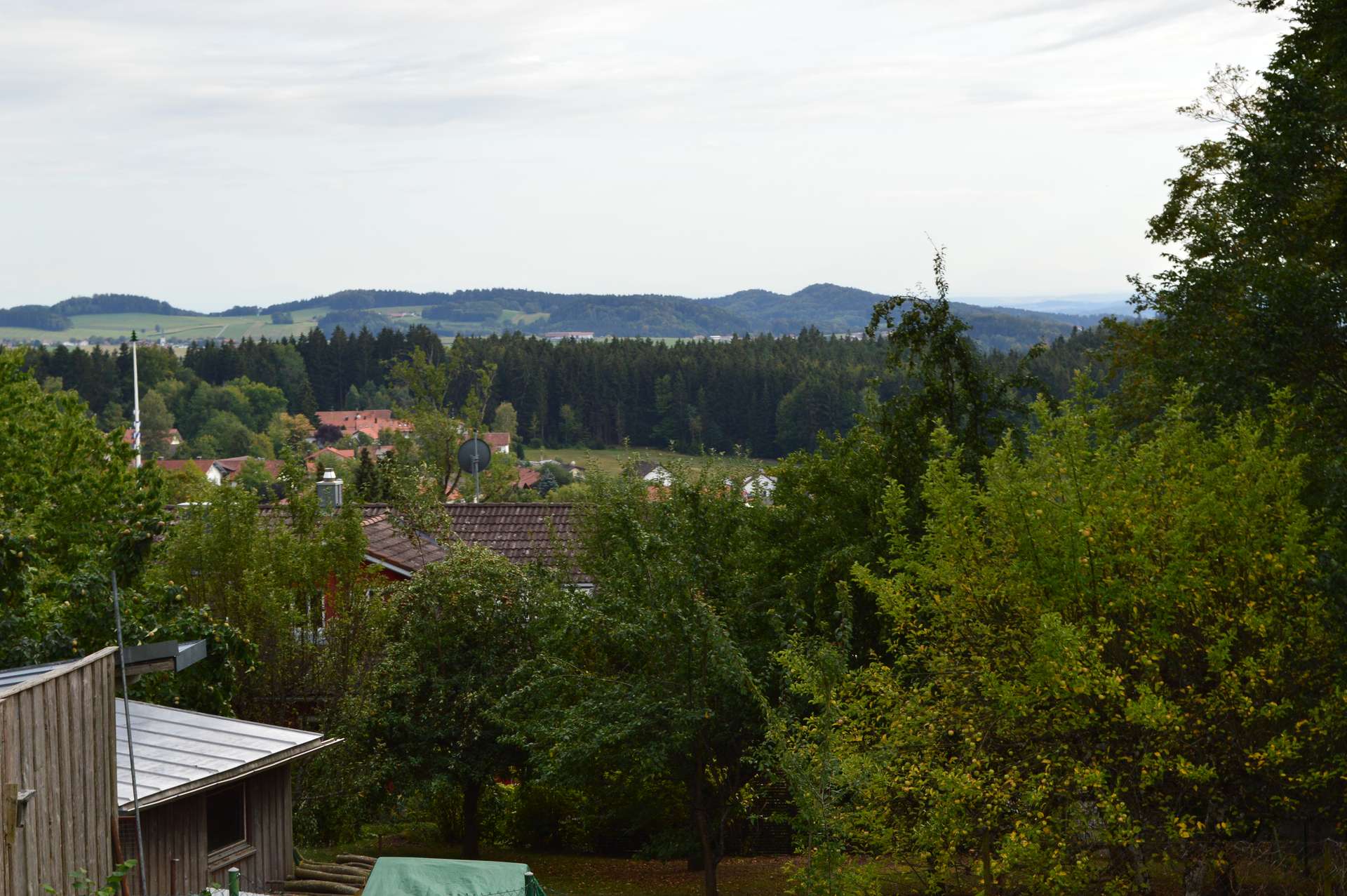 Ausblick