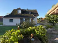 Außenansicht vom Garten