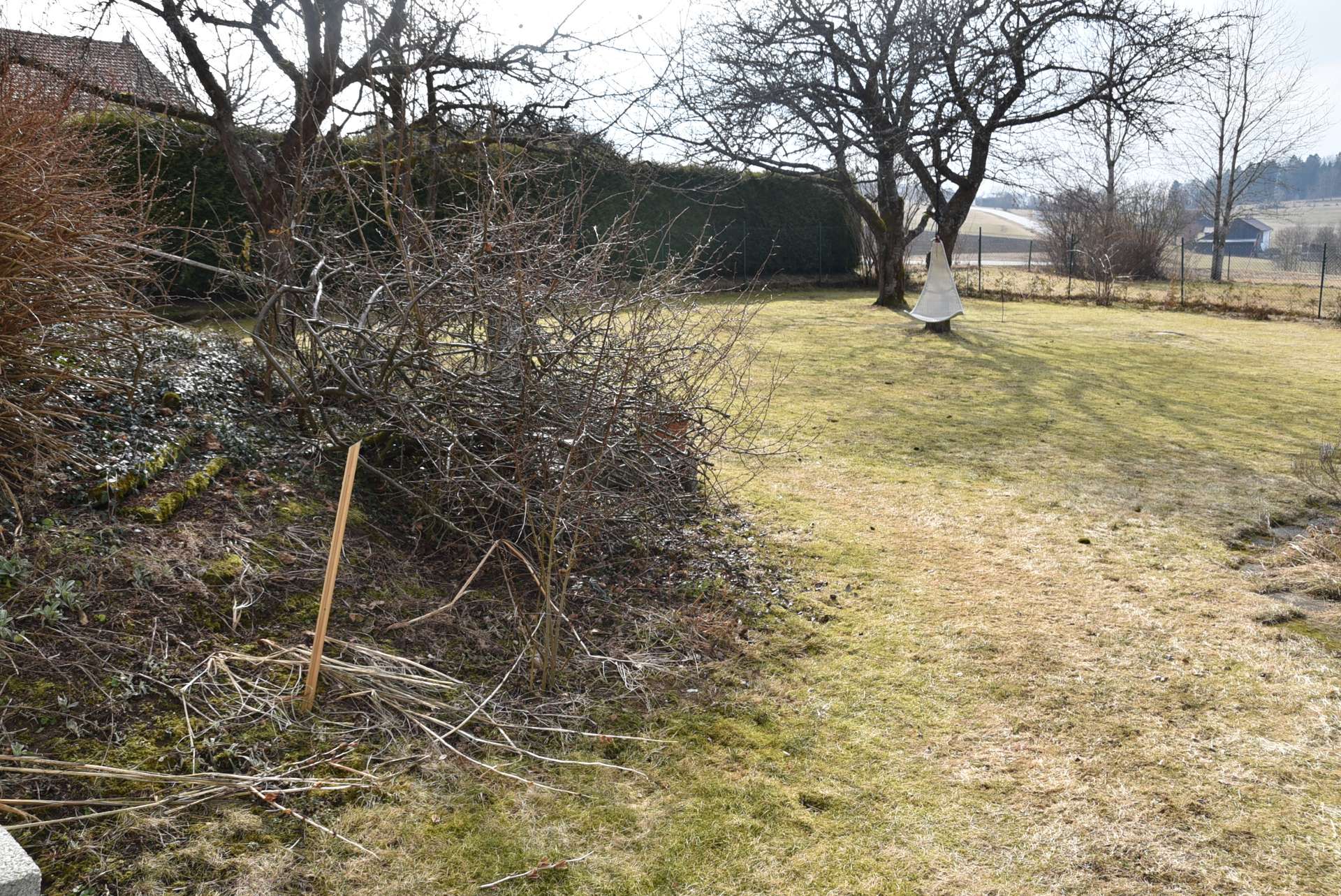 DSC_5177