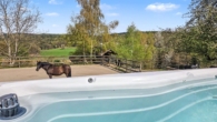 Blick vom Pool - Ehemaliges Bauernhaus – Ein Ort, gemacht für echte Pferdeliebe und echtes Familienleben