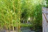 VERKAUFT!!! Repräsentative Villa in Alleinlage mit großem Parkgrundstück - Bambus Garten