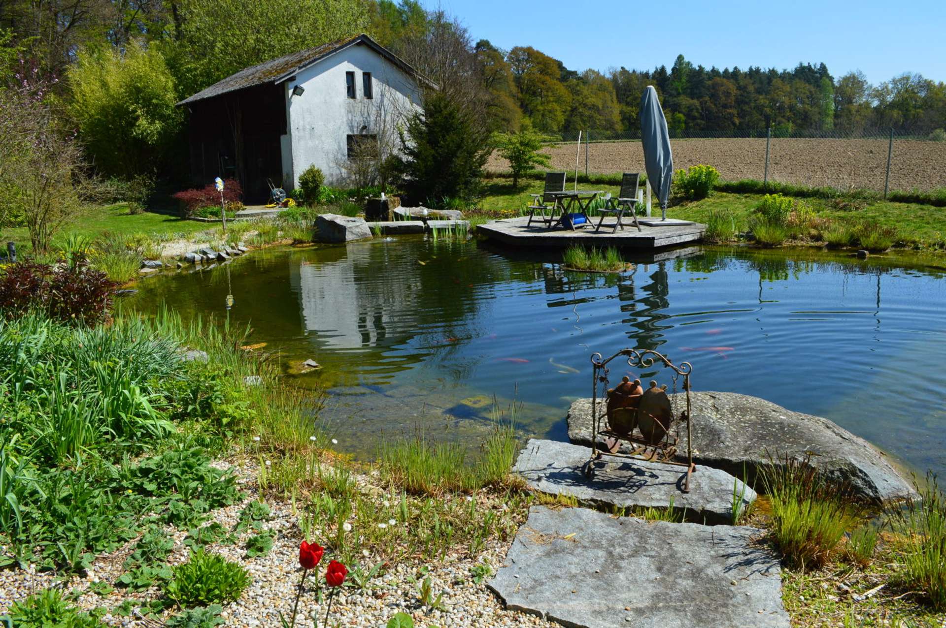 Koi Teich